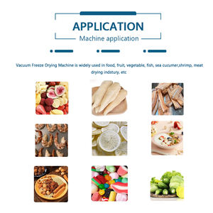 <span class=keywords><strong>10</strong></span> <span class=keywords><strong>kg</strong></span> 6 plateaux lyophilisateur bonbons lait fruits séchage des aliments lyophilisateur Machine prix de l'équipement pour la maison avec <span class=keywords><strong>pompe</strong></span> à vide sans huile - Product Image 6