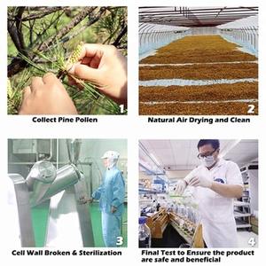QINSHANTANG 소나무 꽃가루 분말 세포벽 파쇄 소나무 꽃가루 핀우스 분말 20:1 보충제 벌크 소나무 꽃가루 추출물 분말 - Product Image 6