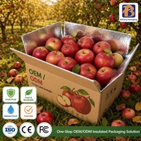 Boîte en carton d'expédition à isolation thermique kraft recyclée pour l'emballage d'aliments surgelés plats frais préparés axés sur la protection de l'environnement