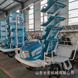 Rice Transplanter 12 <b>Rows</b> High Productivity Agricultural <b>Machinery</b> For Rice Farming - Product Image 1