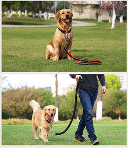 Penjualan Terbaik tali hewan peliharaan berbagai jenis tali anjing peliharaan sabuk rantai logam - Product Image 6