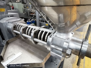 Machine automatique d'huile de cuisson de paquet de presseur d'huile de mouche de soldat noir de soja pour l'huile d'olive et de noix pour l'usine de fabrication - Product Image 6