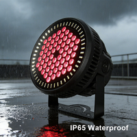 Projecteurs LED Par 300W RGBW 4-en-1 IP65 avec contrôle DMX512 pour parcs à thème et hôtels
