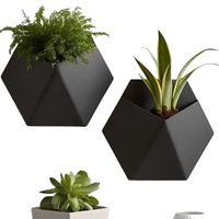 Pot Bunga Dinding Poligon Geometris Gaya Sederhana Modern, Ramah Lingkungan, Biodegradable, Tahan Lama, Bahan PLA Multi-gaya, Cetak 3D