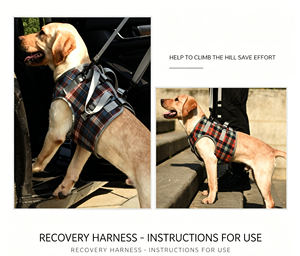 Harnais de Soutien pour Patte Arrière de <span class=keywords><strong>Chien</strong></span> - Sangle de Protection pour <span class=keywords><strong>Chien</strong></span> Handicapé ou Blessé - Sangle d'Assistance pour <span class=keywords><strong>Chien</strong></span> Âgé - Product Image 4