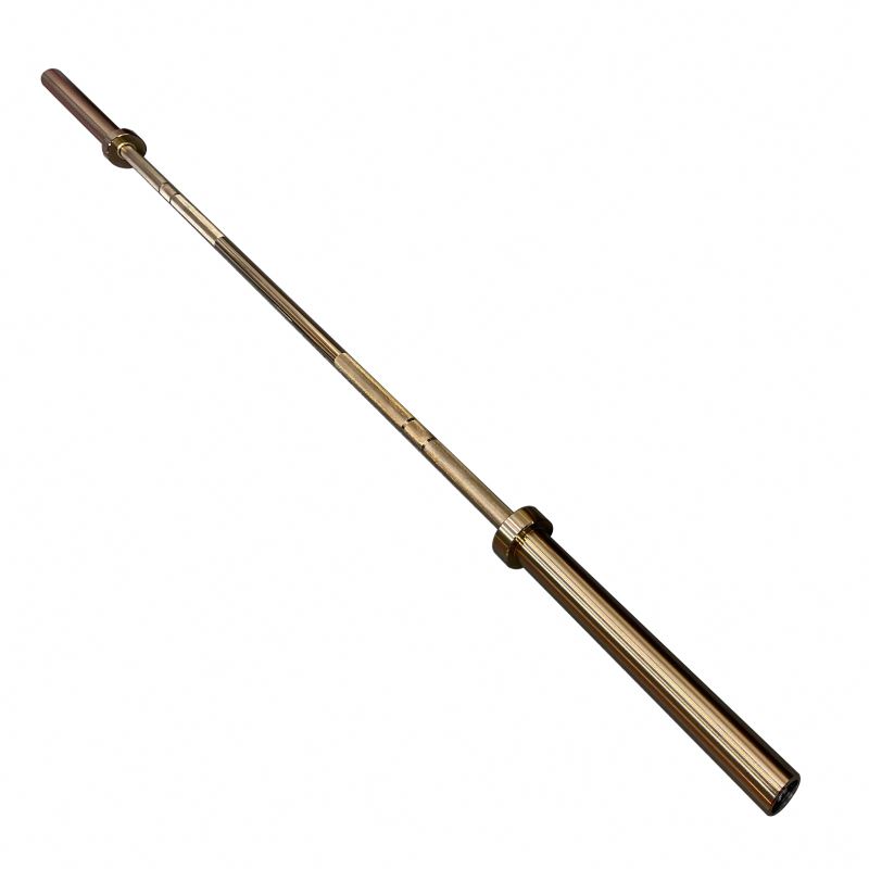 Gold's gym barbell bar hotsell