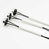 Capteur de température thermistance NTC personnalisable (100K 3950 DIP MF53) avec fils dédiés aux chaudières
