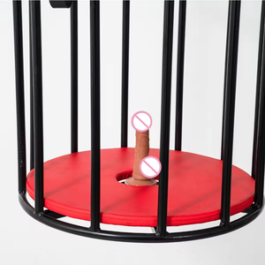 Outils de bondage pour la salle de fétichisme BDSM, cage en métal pour jeu de rôle - Product Image 4