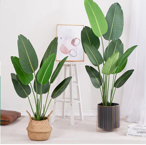 Đồ Trang Trí Trong Nhà Ngoài Trời Mô Phỏng Cao Cây Chuối Nhiệt Đới Giả Lớn 140 Cm 180Cm 240Cm Cây Nhựa Nhân Tạo Chim Thiên Đường - Product Image 1