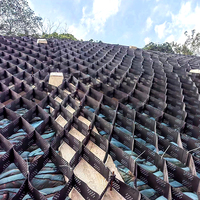 Matériau HDPE durable de haute qualité mur de soutènement extérieur Protection de pente d'allée modèle 3D conçu Geocells fabriqués LUDE