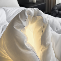 Housse de couette toute saison, taille Queen, King, Insert de couette taille King, Full Size, Couettes et édredons moelleux de haute qualité, extrêmement chauds pour l'hiver