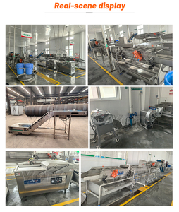 1000 kg/h Carotte fraîche Épluchage Coupe Tranchage Découpage Machine Ligne de Traitement Rondelle Carotte Éplucheur Cutter Trancheuse pour Mélange À Salade - Product Image 2