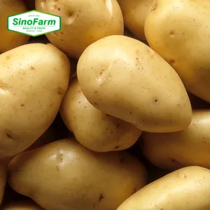 Chinese Fabriek Supply Verse Nieuwe Crop Groenten Groothandel Holland Zaad Aardappel Verse Prijzen In China Voor Export Potatoesfresh