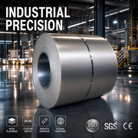 Bobina de Acero Laminado en Frío SJT DC01 SPCC, Lámina de Acero Dulce Totalmente Dura para Fabricación de Automóviles y Electrodomésticos, Precio de Fábrica al por Mayor