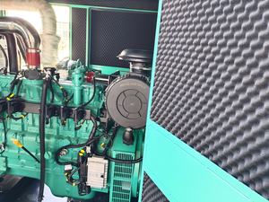 Générateur de <span class=keywords><strong>biomasse</strong></span> à fonctionnement facile 120 kW 100 kW 200 kW 250 W, haute efficacité CE, <span class=keywords><strong>cogénération</strong></span> 150 kW, générateur CHP biogaz GPL - Product Image 3