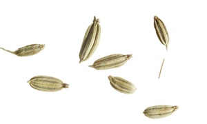 Trà Anisum Khô 100% Nguyên Chất Từ Trung Quốc - Product Image 2