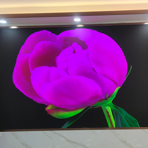 Schermo LED a colori per interni per palcoscenici, chiese, conferenze e pubblicità P3/32s con frequenza di aggiornamento standard - Product Image 1