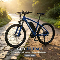 Vélo électrique 1000W, vélo à pneus larges 800W, vélo de plage, vélo électrique, vélo électrique tout-terrain