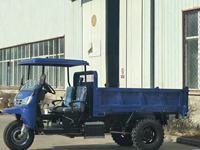 Tricycle de transport agricole à forte capacité, vente chaude, directement de l'usine, pour la logistique de construction et les travaux ruraux, moto diesel