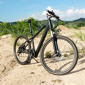 <span class=keywords><strong>Freego</strong></span> High Motor Power 600W Bicicleta eléctrica de ciudad con 21 velocidades Bicicleta eléctrica plegable para unisex - Product Image 1