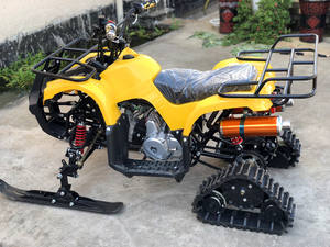 125cc สโนว์โมบิล4จังหวะเส้นทางใช้ก๊าซใช้พลังงานจากประเทศจีน - Product Image 2