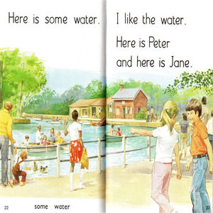 36 piezas/juego <span class=keywords><strong>de</strong></span> libros Ladybird Key Words con Peter Jane, libros ilustrados para aprender inglés - Product Image 6