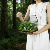 Miniature terrarium de forêt tropicale, boîte de micro-paysage en verre, bonsaï, mousse, micro-paysage forestier, conteneur écologique pour bureau