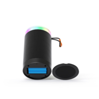 Altavoz Portátil Bluetooth 5.3 con Batería Extraíble, Altavoz Inalámbrico con Luz LED RGB, Tarjeta TF, Subwoofer Estéreo con Bajos