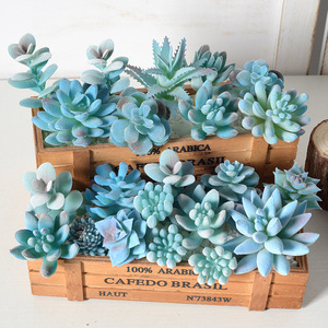 Plantas Suculentas Artificiales con Acabado Azul, Mini Bonsái, Juego de Cactus Artificiales de Plástico, Decoración para Interiores, Escritorio y Hogar - Product Image 3