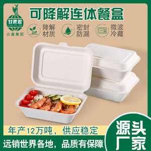 <b>Disposable</b> Lunch for Dumplings, Rice, <b>BBQ</b>, Biodegradable Bento Box, Fried Food Takeout Paper Box - Product Image 4