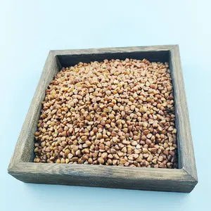 풍부한 고품질 단백질 벅 밀 곡물 뜨거운 판매 구운 메밀 커널