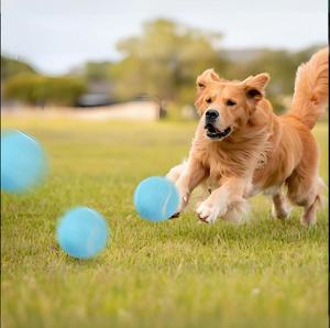 Custom Logo <b>Dog</b> <b>Tennis</b> <b>Ball</b> - Durable Rubber Chew Toy for Pets, Interactive Training <b>Ball</b> for <b>Dogs</b>, Bulk Wholesale Pet Gift - Product Image 3
