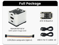 Sipeed NanoKVM PiKVM Mini Contrôle à Distance Opération Maintenance Serveur Raspberry Pi Prise en Charge du Contrôle par Port Série et Démarrage à Distance