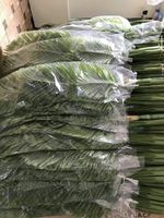 Feuilles de palmier artificielles, 1 pièce, areca décoratives, plantes