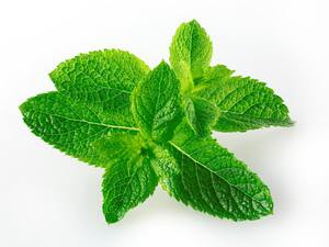 ペパーミントエキス有機ペパーミントリーフパウダー100% ピュアミントエキス - Product Image 4
