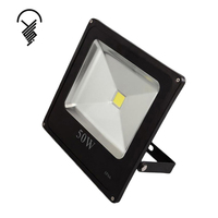 Haute luminosité bon prix coque noire 200W lumière d'inondation publicitaire
