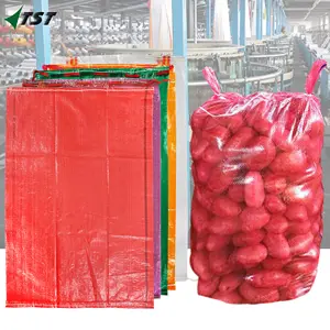 Mango transparent bag polyethylene woven mesh bag for packing food with custom drawstring wholesale woven mesh bag for Russia