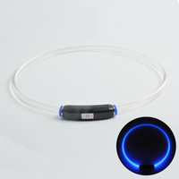 Mode LED collier de chien collier solide brillant nouveau collier de sécurité pour animaux de compagnie avec USB rechargeable Style simple en plastique
