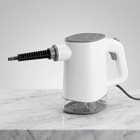 Nettoyeur vapeur électrique portable professionnel, mini, haute puissance, forte pression, pour le nettoyage de la voiture, de l'extérieur et de la maison