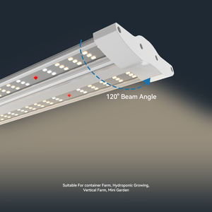 תאורת לד לגידול צמחים אנכי מקורה, ספקטרום מלא LM301h, דקה במיוחד, עמידות למים IP65, אחריות 5 שנים, CRI88, לגידול ירקות. - Product Image 2