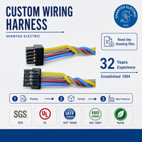 Harnais de câblage pour portières de voiture et ordinateurs, personnalisable OEM, avec isolation PBT, indice de protection IP65, options OEM - Approvisionnement direct usine