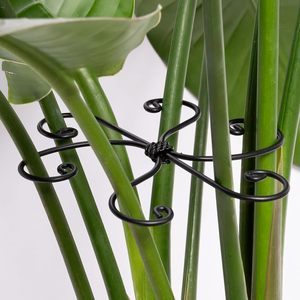 Supports de plantes en métal réglables, piquets robustes en fer pour tiges simples, supports de treillis pour fleurs, pour plantes en pot d'intérieur (Monstera), lot de 5 - Product Image 1