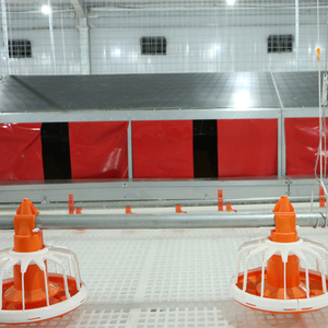 Chất lượng cao gà và gia cầm chăn nuôi trứng đẻ Hộp 220V động cơ Vật liệu thép không gỉ trang trại 220V động cơ Sản phẩm mới - Product Image 2