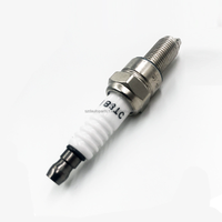 Bouchon de tronçonneuse de moto D8EA A7TC D8TC B8TC K7RTC C7HSA CR7E CR7EB L7TC BM6A E6TC Bougie d'allumage pour machines de jardin moto