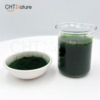CHTNature Vente en gros de spiruline verte en vrac et de spiruline biologique de qualité alimentaire en poudre