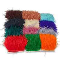 Promotion : Bordure en plumes d'autruche blanches teintées, 10-13 cm, franges moelleuses, garniture en dentelle pour robe de soirée et décoration de danse
