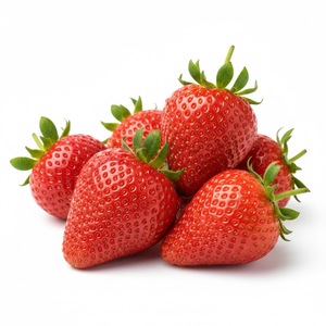 TW Strawberry PDRN, concentré de polynucléotides à base de fruits, matière première cosmétique de haute pureté pour l'éclaircissement professionnel de la peau - Product Image 4