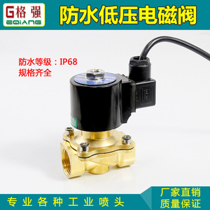 Vanne solénoïde Ge Qiang 1 pouce 220V étanche de type boule pour fontaines à eau - Product Image 4