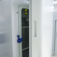 Incubateur CO2 BIOBASE CHINA BJPX-C50 à température et humidité constantes pour culture cellulaire, FIV humaine, 50L, laboratoire, avec PID et écran LCD