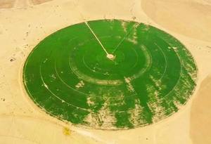 Sistema de riego de pivote central de alto rendimiento para grandes proyectos agrícolas, incluye energía solar que se adapta a las necesidades de su granja. - Product Image 3